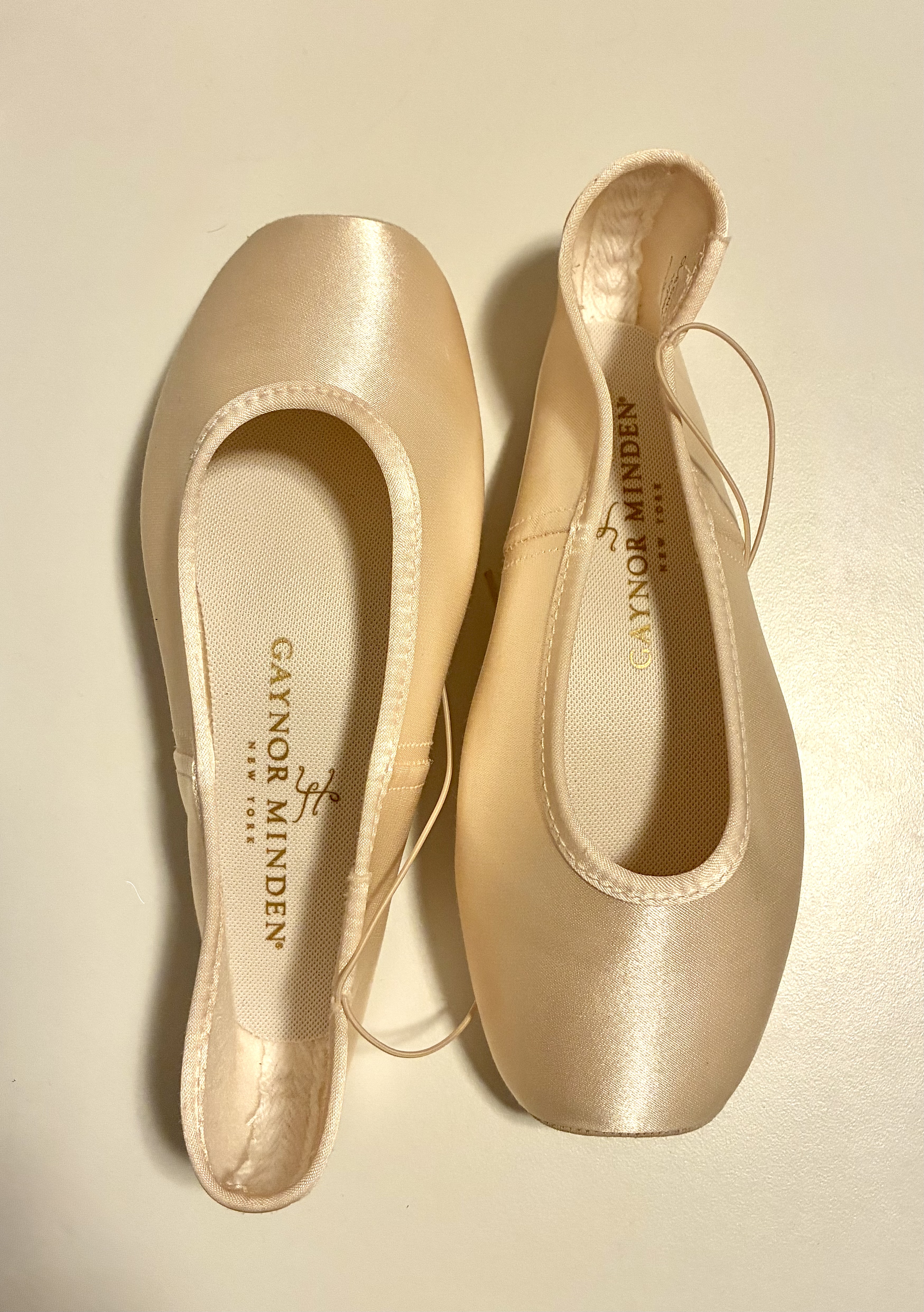 Gaynor Minden Pointe Shoes