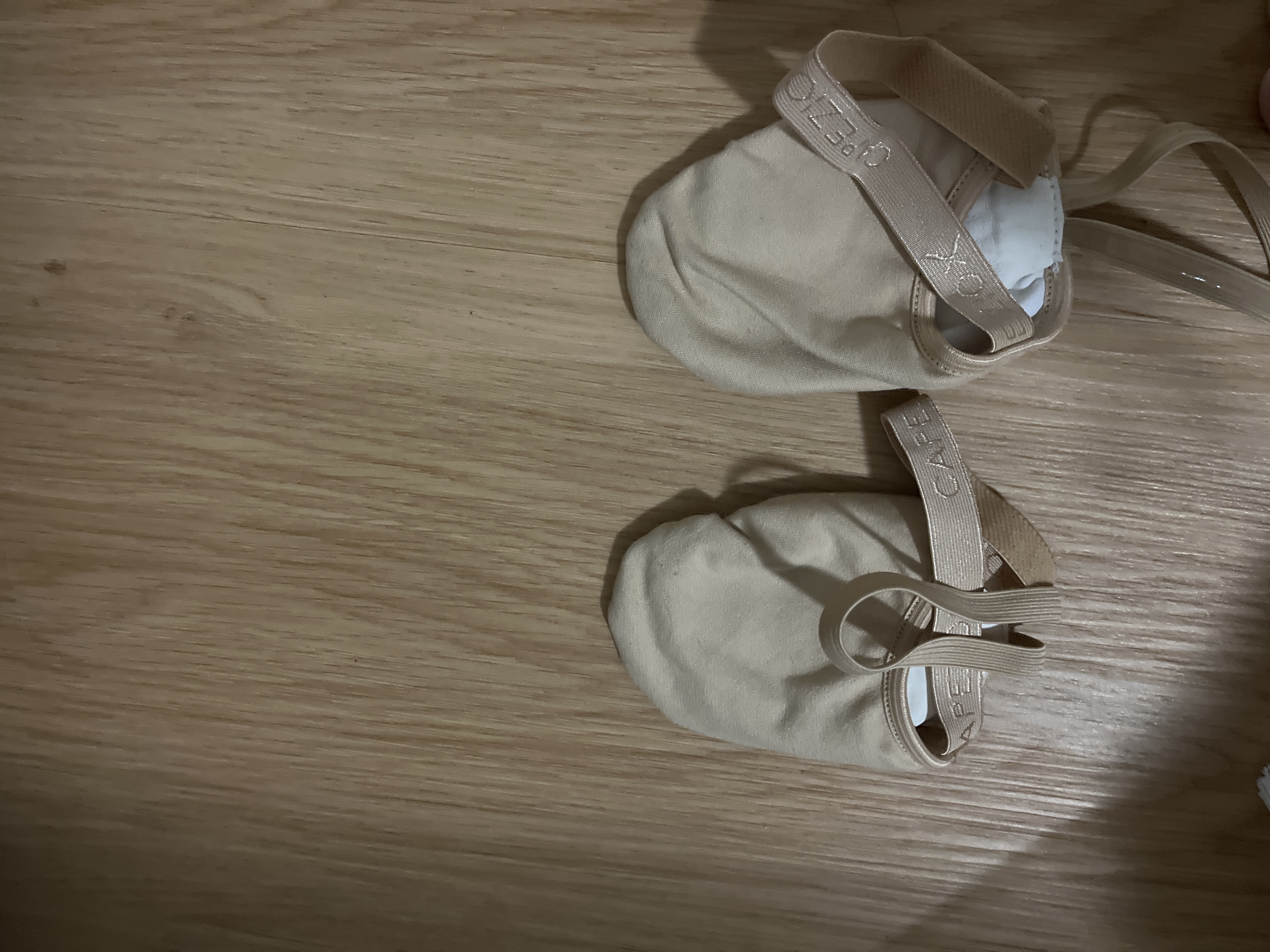 Hanami Canvas Pirouette Shoes